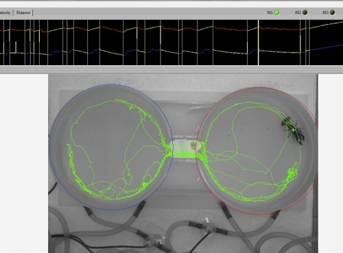 穿梭池動(dòng)物喜好度觀測(cè)系統(tǒng)