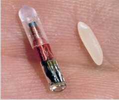 Biomark 魚(yú)類射頻標(biāo)記(PIT)