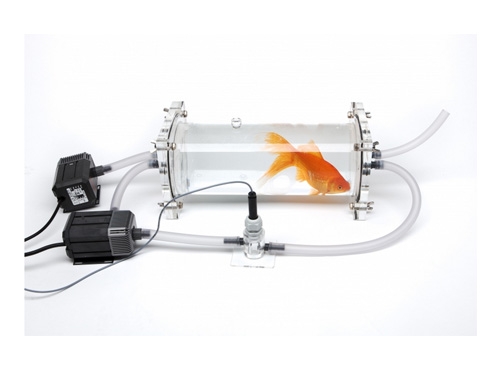 魚類及水生無脊椎動(dòng)物呼吸代謝測(cè)量系統(tǒng)