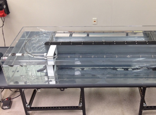 魚類與水生生物游泳能力、呼吸代謝測(cè)量?jī)x